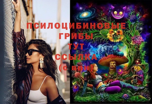 дурь Алзамай