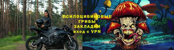 дурь Алзамай
