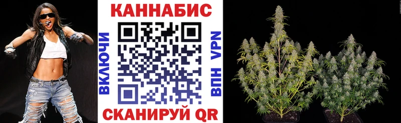 Бошки Шишки VHQ Кирс